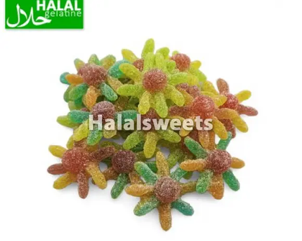 Jake Sour Octopus – 100% Halal Zure Gummies – Fruitige Zure Octopus Snoepjes Jake